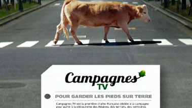 Campagnes TV la vache