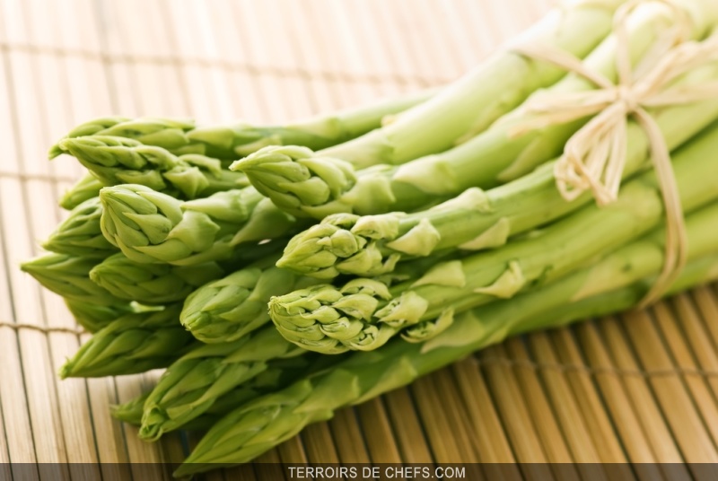 culture de l asperge verte