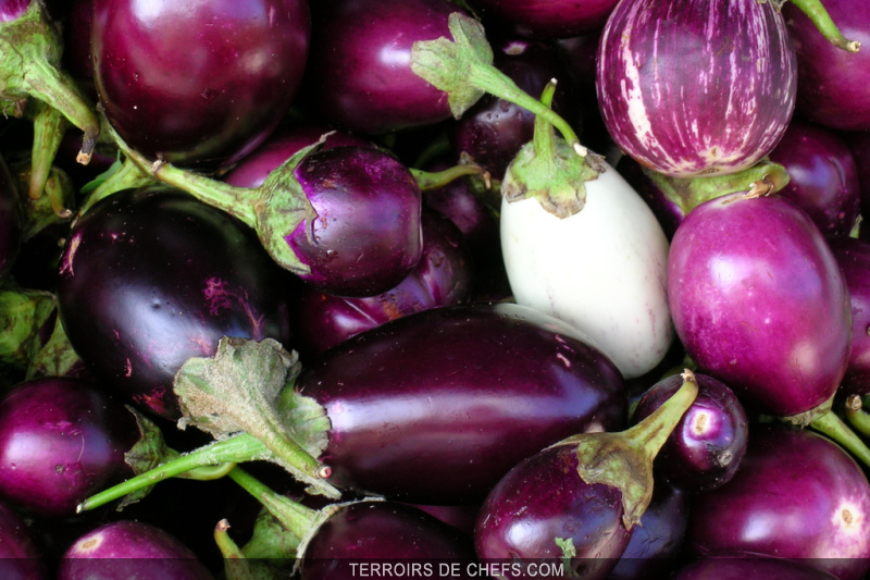 L'Aubergine Superbe légumefruit
