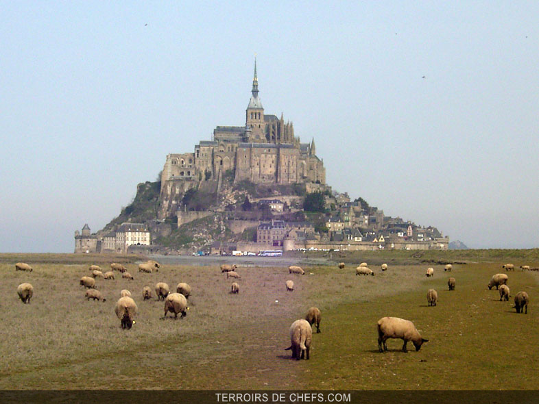 L'agneau de prés salés, une viande à la saveur