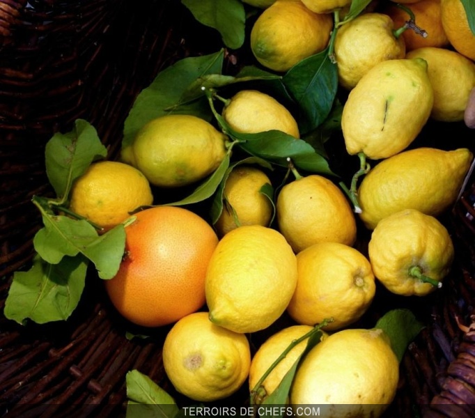 Les Agrumes Conseils Des Chefs Frederic Vardon Mickael Feval