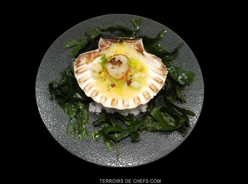 Noix De Saint Jacques Dorees Au Poivre Timut Beurre Champagne A