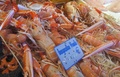 La Langoustine