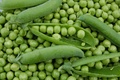 Le Petit pois