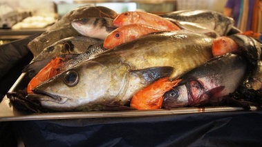 Poisson d'avril au Café Prunier - les poissons 