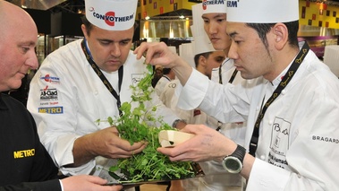 Le Marché des chefs du Bocuse d'Or 2013 3