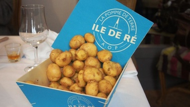 La star du concours la pomme de terre de l'Ile de Ré