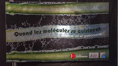 Quand les molécules se cuisinent - 12