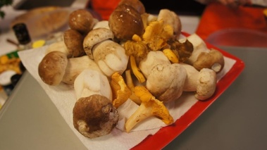 champignons