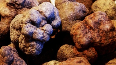 Truffes