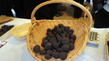 Truffes