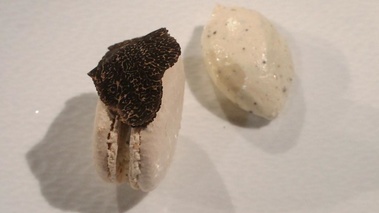 Macaron argenté au chocolat blanc ivoire et truffe par François Adamski  