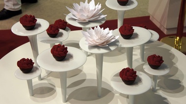 Haute Cuisine Paris 2011 - Red Flower 