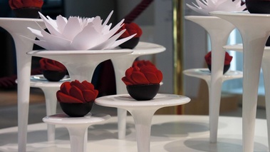 Haute Cuisine Paris 2011 - Red Flower