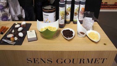 Haute Cuisine Paris 2011 - Sens Gourmet