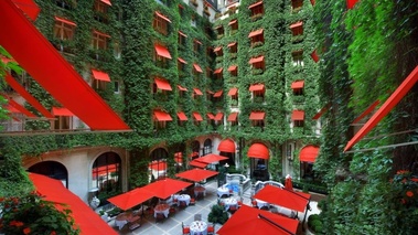 cour jardin