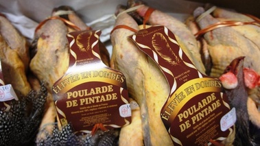 poularde de pintade