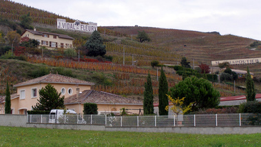 Vignoble de Cote-Rotie