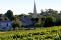 Terroirs de Chefs - Aquitaine - Vignoble de Sauternes