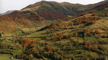 Terroirs de Chefs - Auvergne - Monts du Cantal