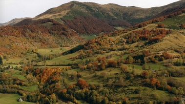 Terroirs de Chefs - Auvergne - Monts du Cantal