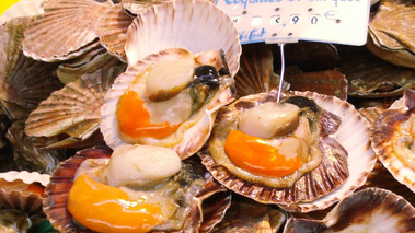 Terroirs de Chefs - Basse-Normandie - Les coquilles Saint-Jacques