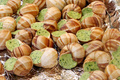 Terroirs de Chefs - la Bourgogne - Escargots de Bourgogne