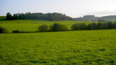 Terroirs de Chefs - Champagne-Ardenne -  Canton de Carignan