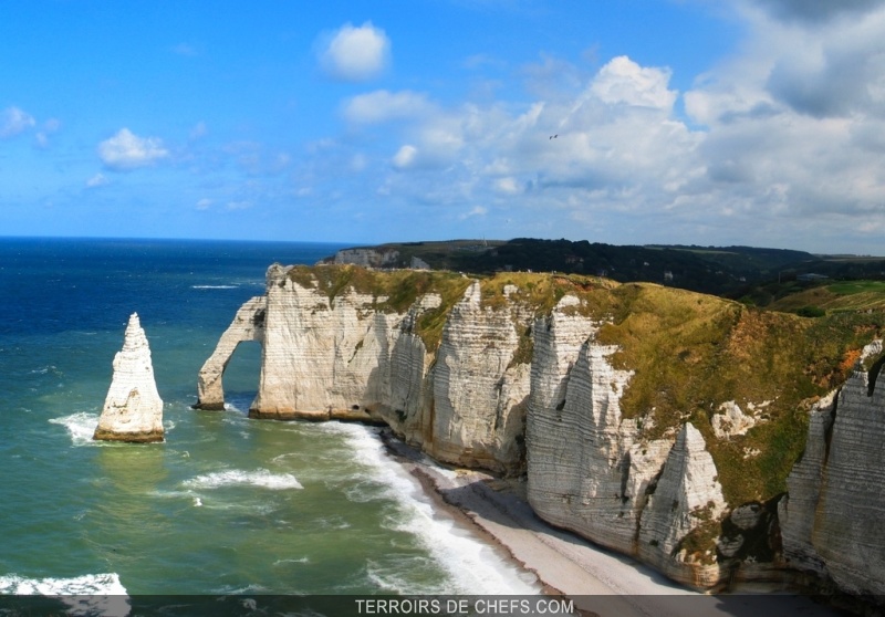 Haute Normandie Cerisiers Roses Et Pommiers Blancs