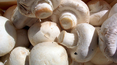 Terroirs de Chefs - Île-De-France - Le champignon de Paris