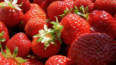 Terroirs de Chefs - Limousin - La fraise de Beaulieu