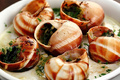 Terroirs de Chefs - Poitou Charentes - Les escargots