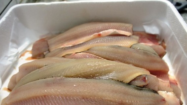 Filets de Féra.jpg