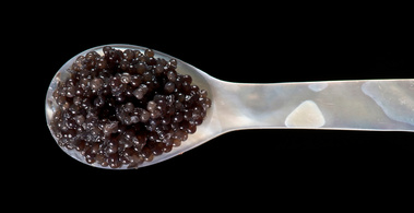 caviar spoon