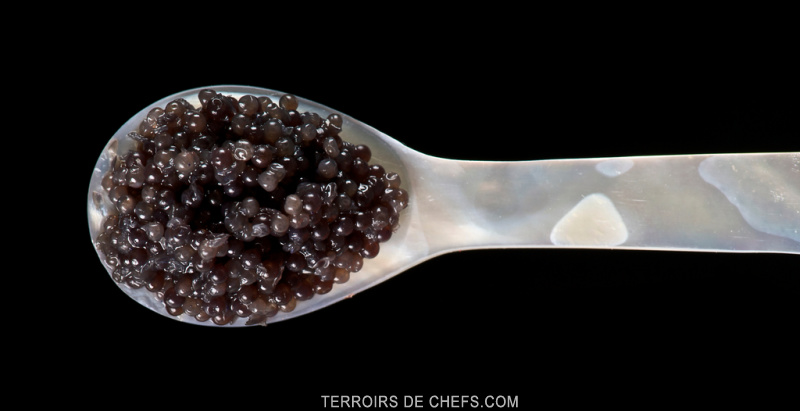 rencontre caviar