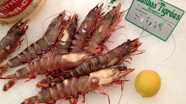 La Gambas Crevette Geante A A Chair Ferme Et Delicatement Parfumee