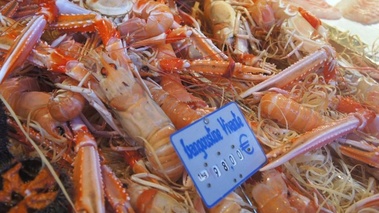 Langoustines