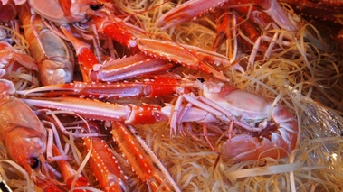 Langoustines