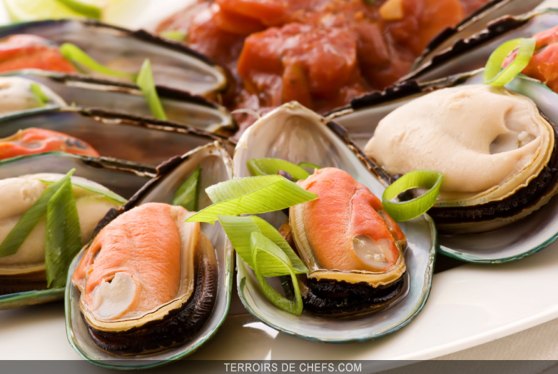 La Moule La moule garde la « forme