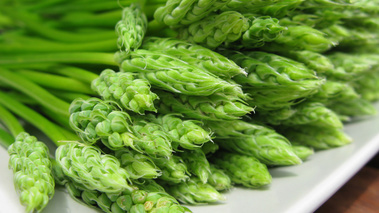 Asperge sauvage