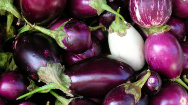 Aubergines