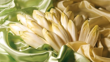 Endive