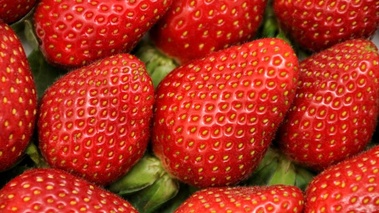 Fraises