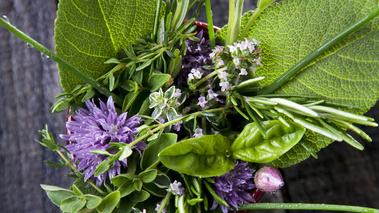 herbes de jardin