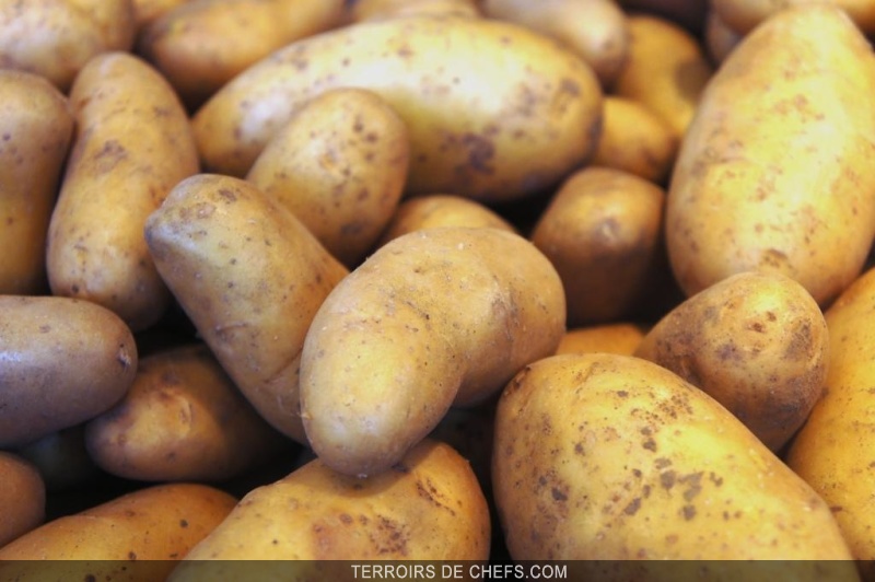 Produit potager pomme de terre Amandine Vitelotte Chérie ratte Chérie