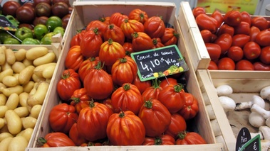 Tomates - coeur de boeuf 