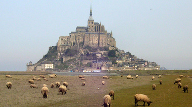 Agneau de pré salé du Mont-Saint-Michel