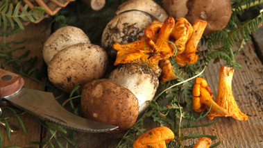 Cèpes et girolles