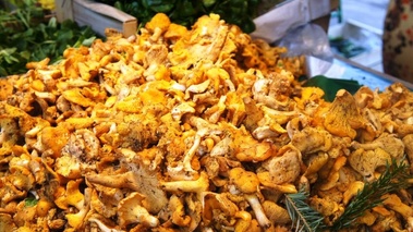 Girolles