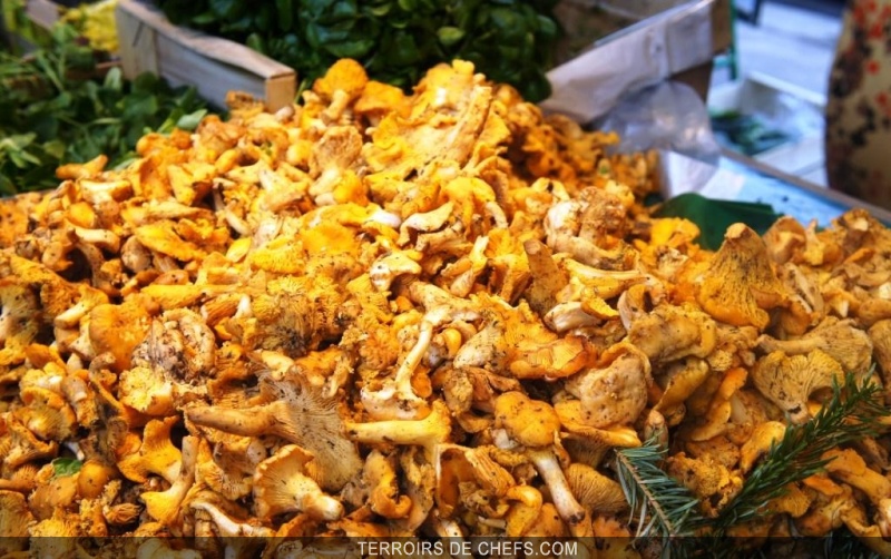 Suprême de pintade aux girolles Un plat qui allie une volaille au goût